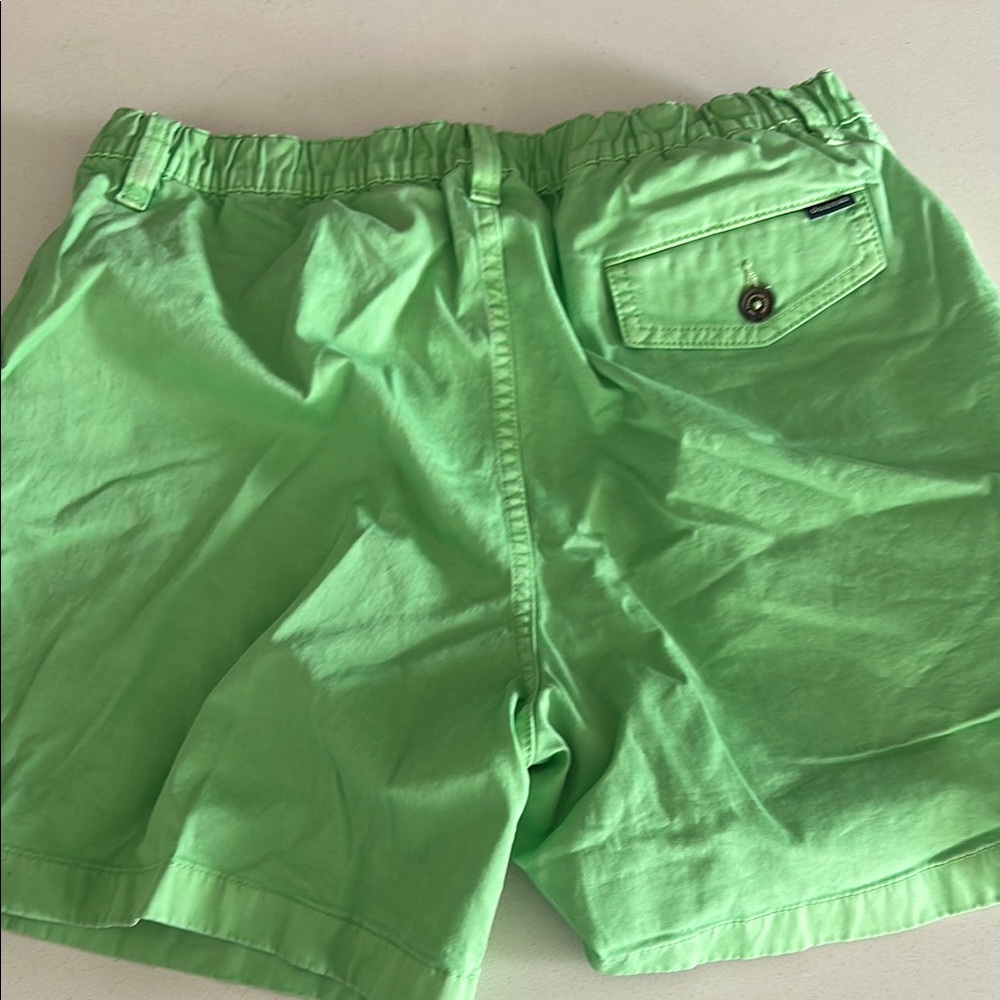 Chubbies Lime Green Shorts - Picture 4 of 4